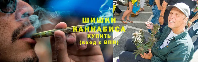 Бошки Шишки план  Владимир 